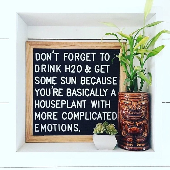 Meet your Posher, Jennifer - Picture 4 of 7